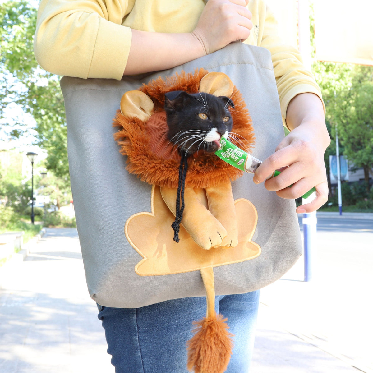 Lion Design Portable Breathable Lion Cat Dog Carrier Bags Outgoing Travel Pets Handbag With Safety Zippers