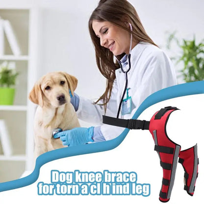 ACL Knee Support Brace Foe Recovery