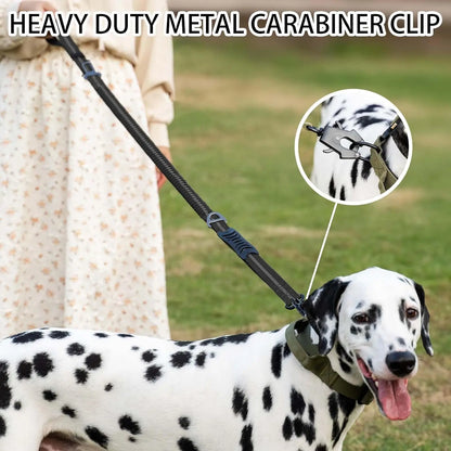 Reflective Shock Absorbing Pet Leash with Car Seatbelt