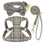Extra Small Dog Harness Collar and Leash Set with Bowtie