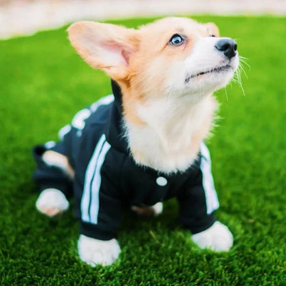 Adidog Jumpsuit Puppy Outfit