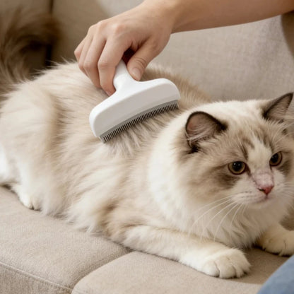 2pc  V-shaped large pet comb