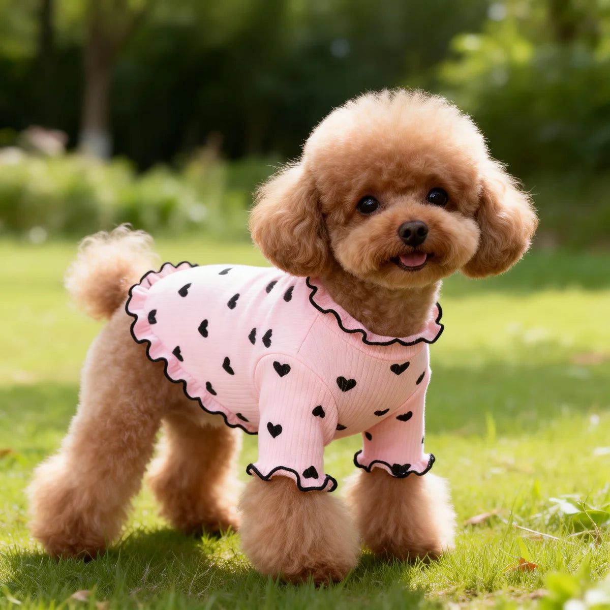 Pet T-shirt With Stretch Ribbed Heart Pattern