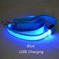 LED Dog Leash