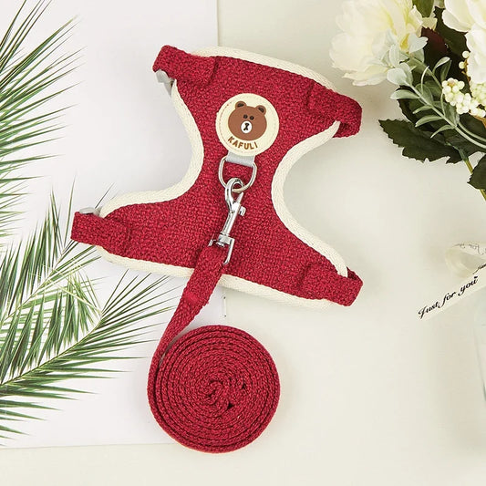 Cute Harness Leash Set