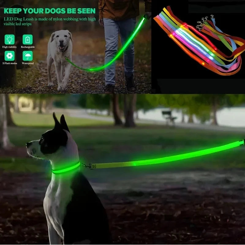 LED Dog Leash