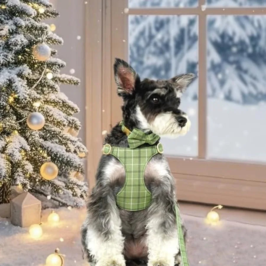 Extra Small Dog Harness Collar and Leash Set with Bowtie