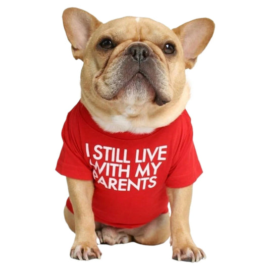 1pcs Letter Printed T-shirt