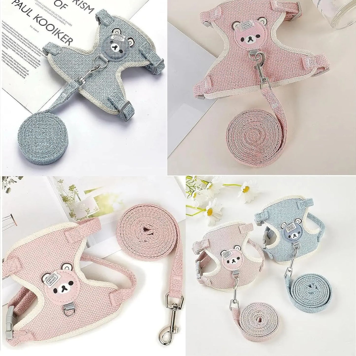 Cute Harness Leash Set