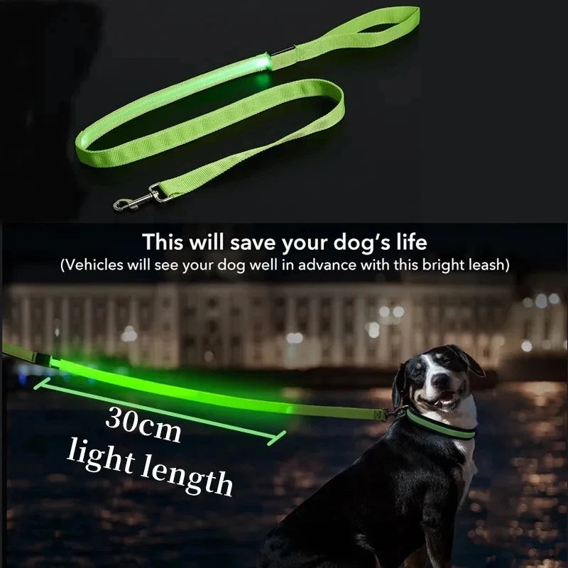 LED Dog Leash