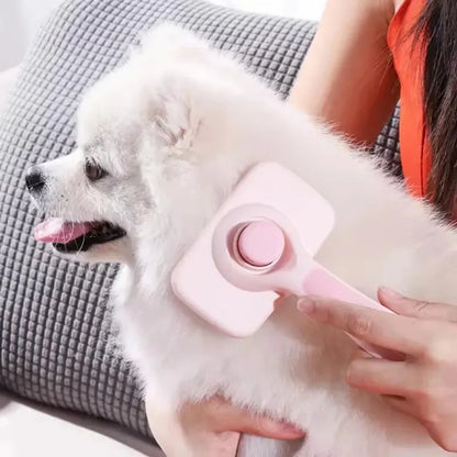 Fur Remover Brush