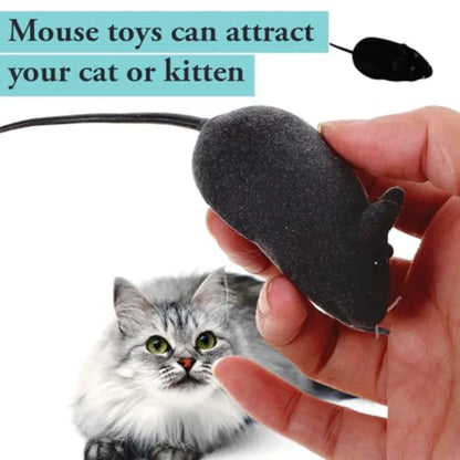 6Pcs squeaking sound interactive toy