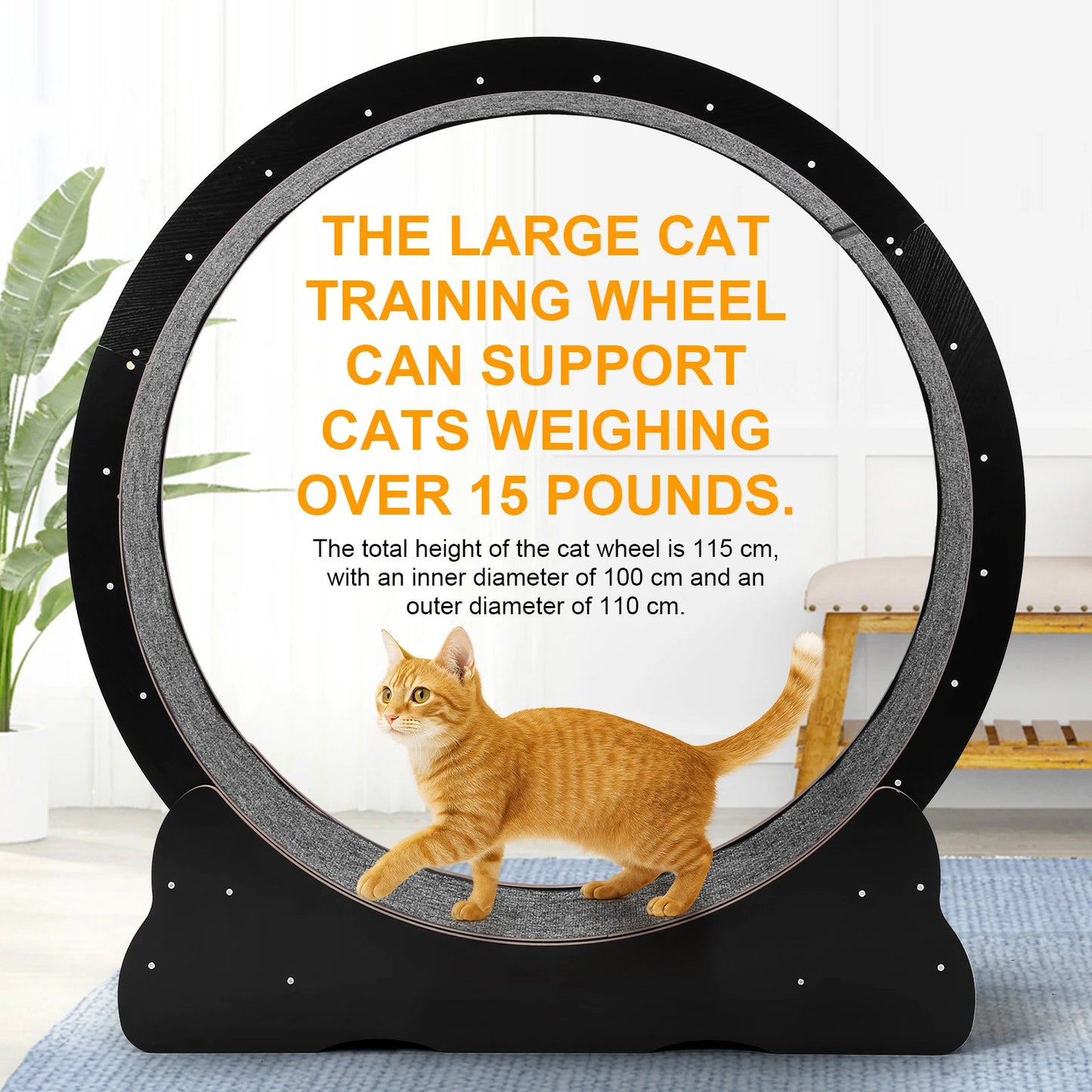 43 Inch Cats Exercise Running Wheel