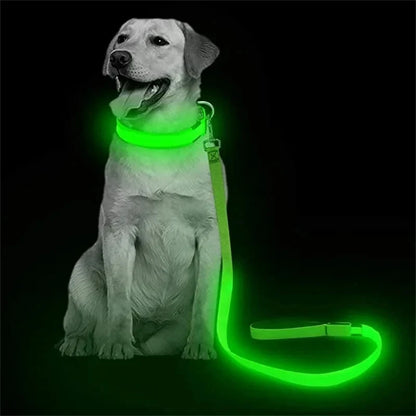 LED Dog Leash