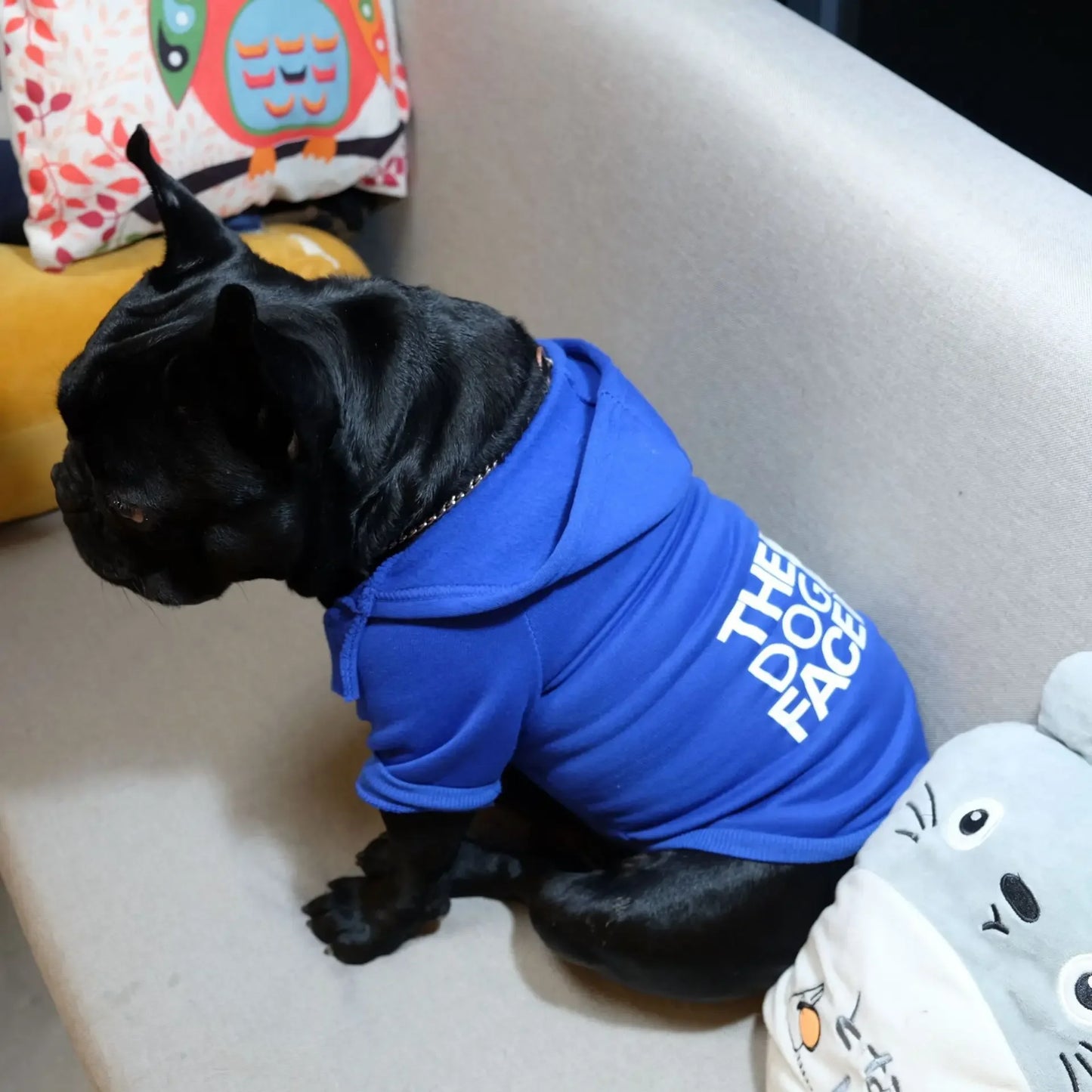Pet Hoodie "The Dog Face" Text Pattern
