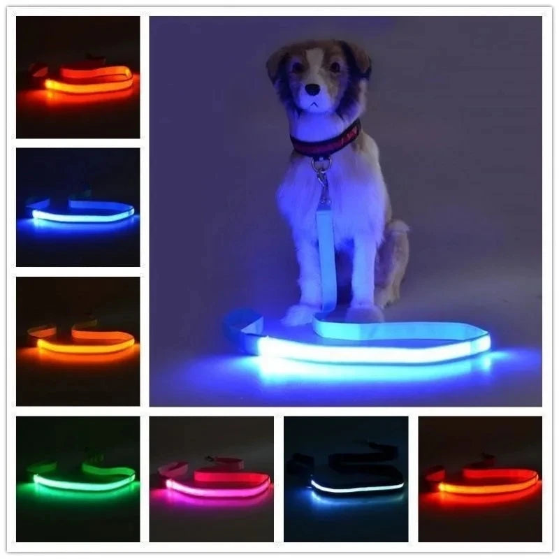 LED Dog Leash