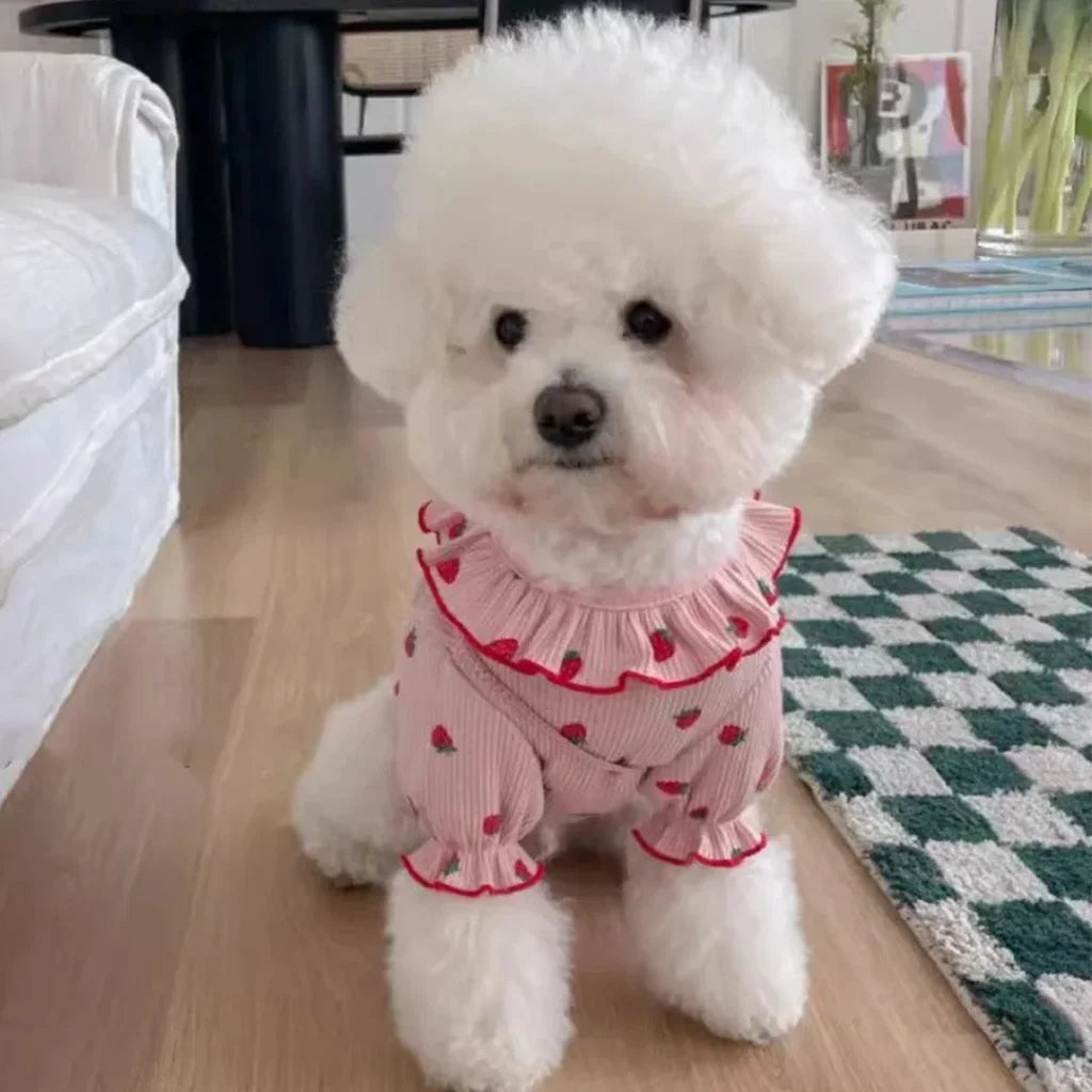 1pc Strawberry Small Dog Clothes