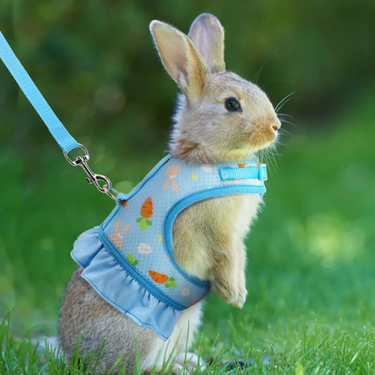 Rabbit Harness with Leash Cute Adjustable Buckle