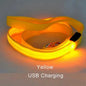 LED Dog Leash
