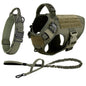 Large Dog Harness And Leash Set Pet