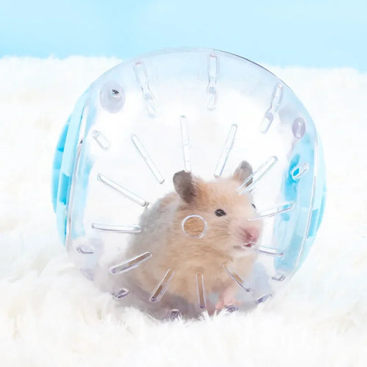 Plastic Small Pet Exercise Ball
