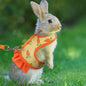 Rabbit Harness with Leash Cute Adjustable Buckle