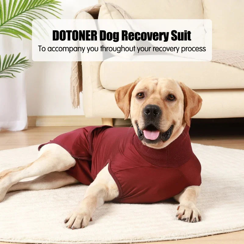 Prevent Licking Biting Recovery Suit for Dogs Cats