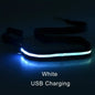 LED Dog Leash
