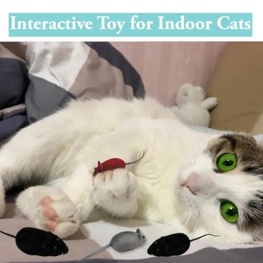 6Pcs squeaking sound interactive toy