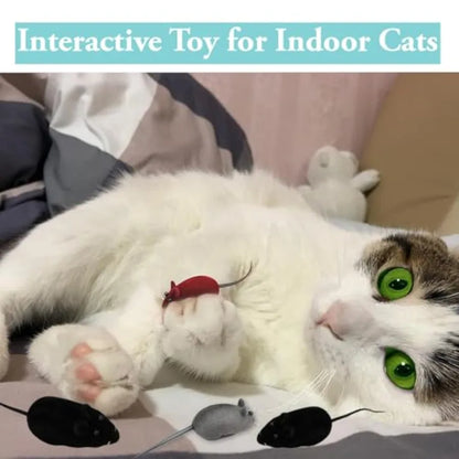 6Pcs squeaking sound interactive toy