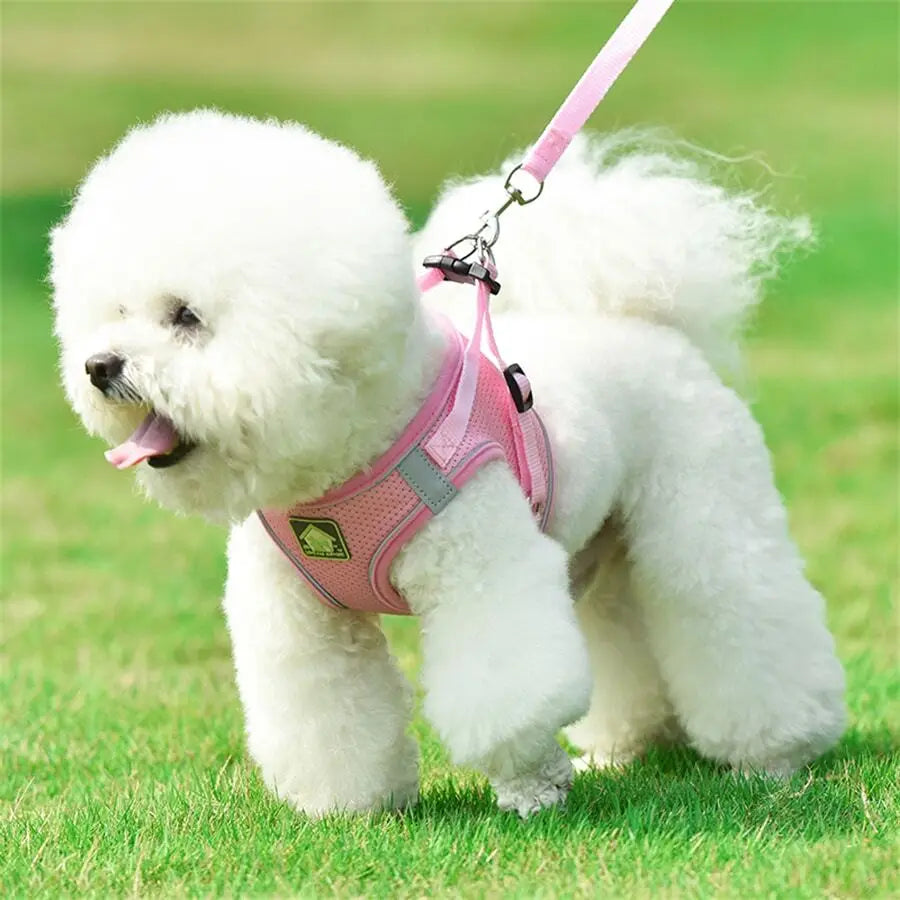 1 Set Comfortable Mesh Breathable Adjustable Reflective Dog Vest Chest Back Strap