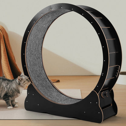 43 Inch Cats Exercise Running Wheel