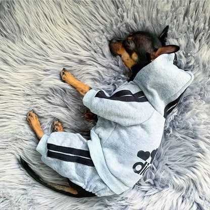 Adidog Jumpsuit Puppy Outfit