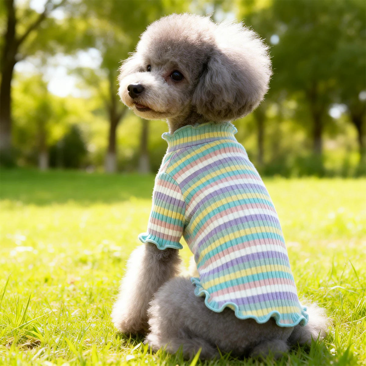 Wide Elastic Stripes Pet Dog Clothes