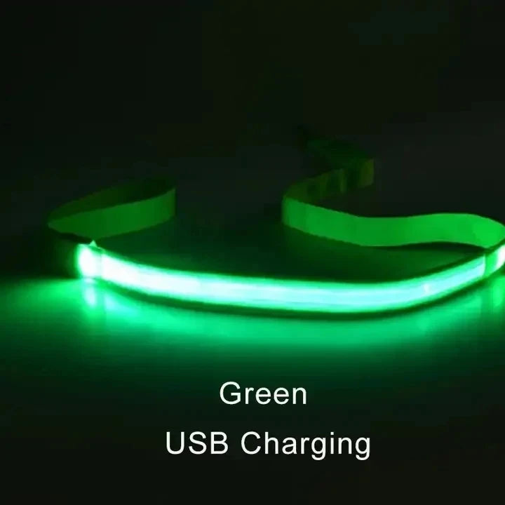 LED Dog Leash