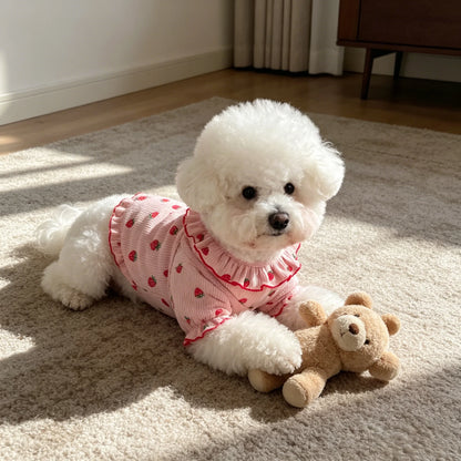 1pc Strawberry Small Dog Clothes