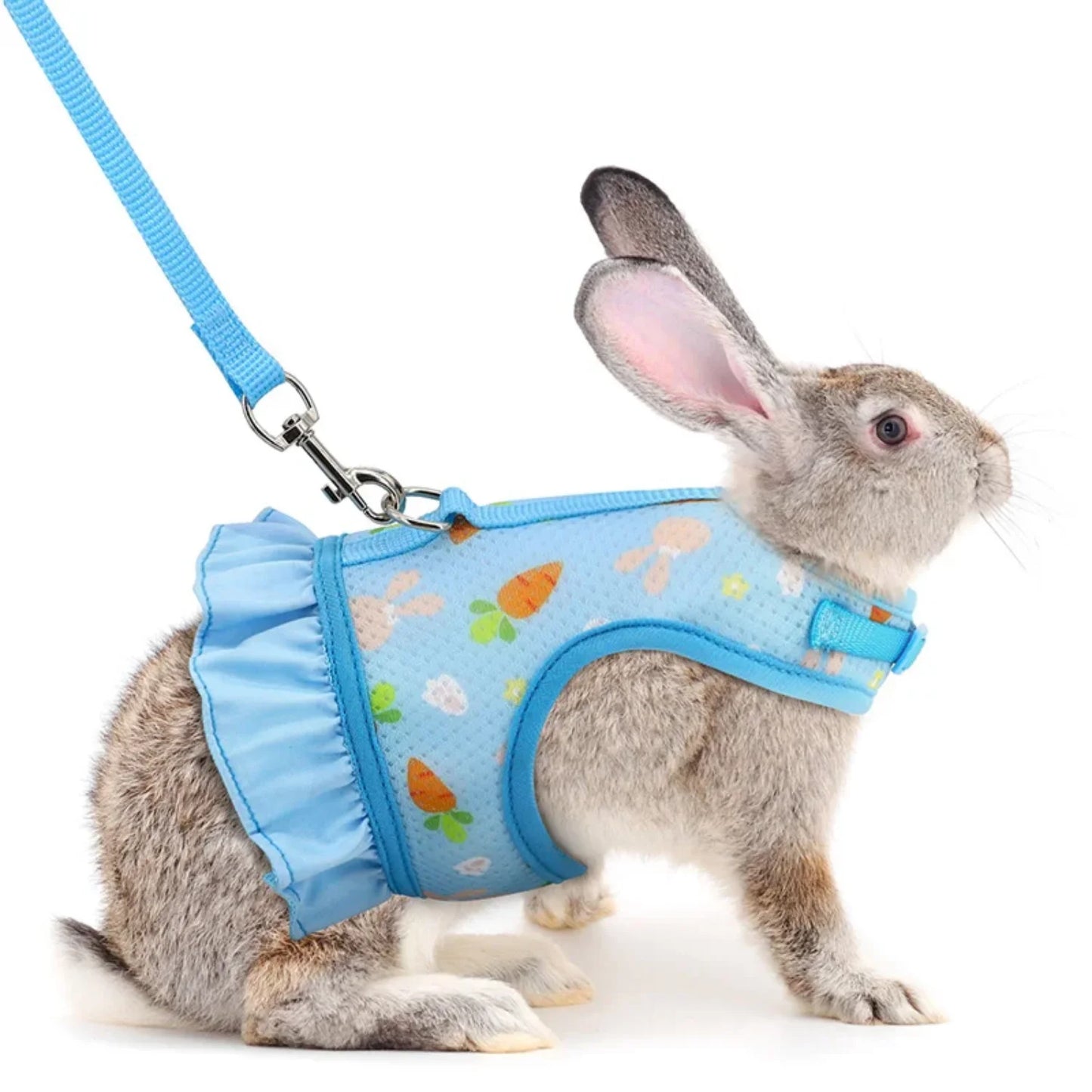 Rabbit Harness with Leash Cute Adjustable Buckle