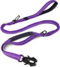 Reflective Shock Absorbing Pet Leash with Car Seatbelt
