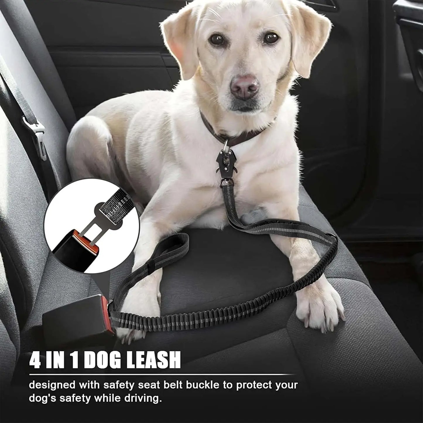 Reflective Shock Absorbing Pet Leash with Car Seatbelt