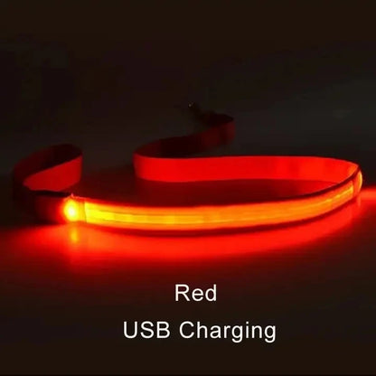 LED Dog Leash