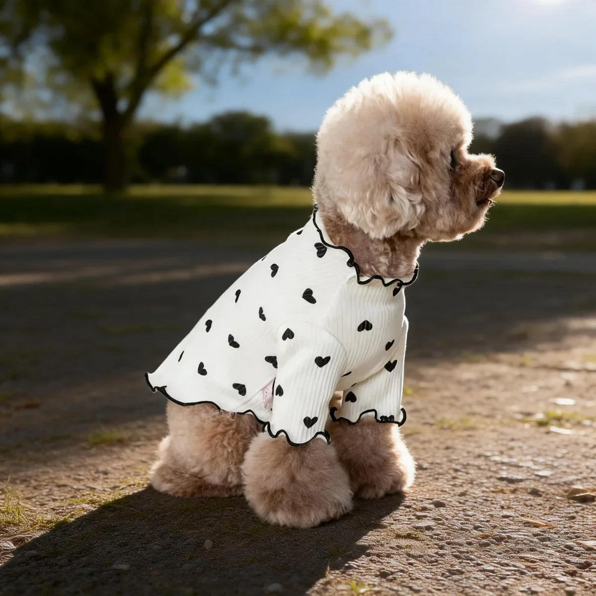 Pet T-shirt With Stretch Ribbed Heart Pattern