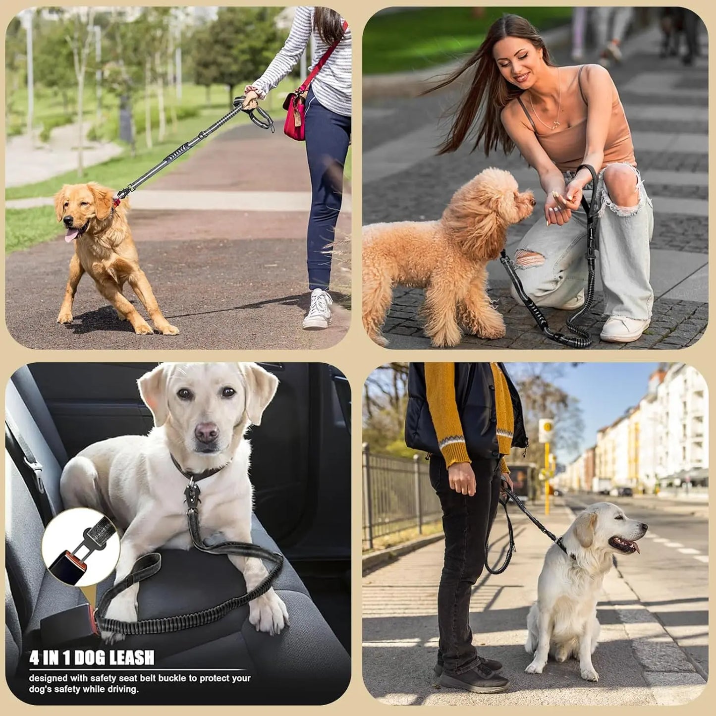 Reflective Shock Absorbing Pet Leash with Car Seatbelt
