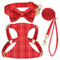 Extra Small Dog Harness Collar and Leash Set with Bowtie