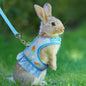 Rabbit Harness with Leash Cute Adjustable Buckle