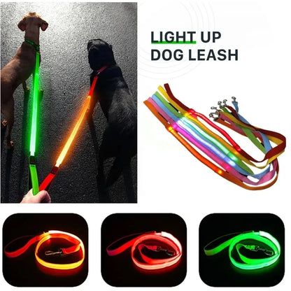 LED Dog Leash