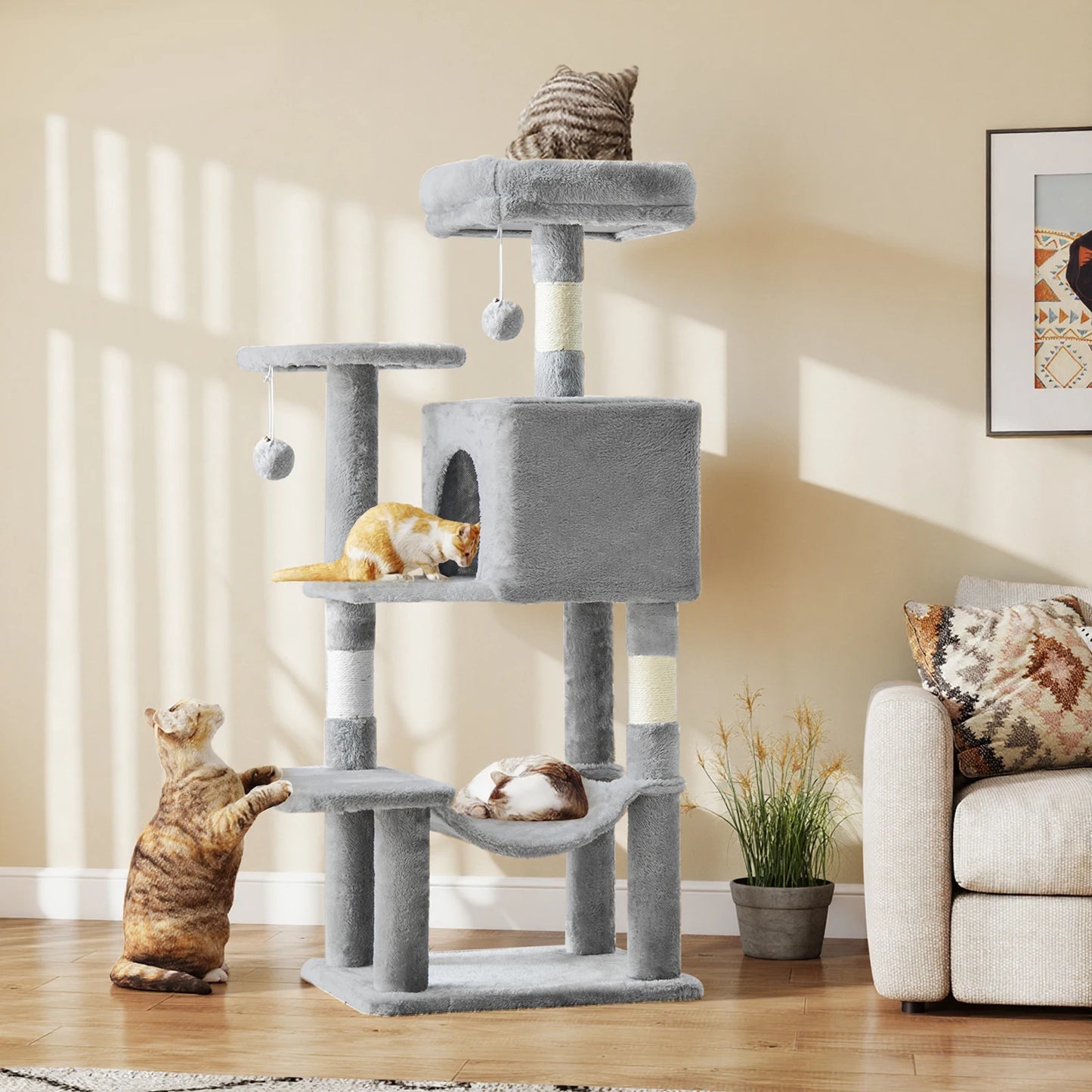 44In Cat Climbing Tower