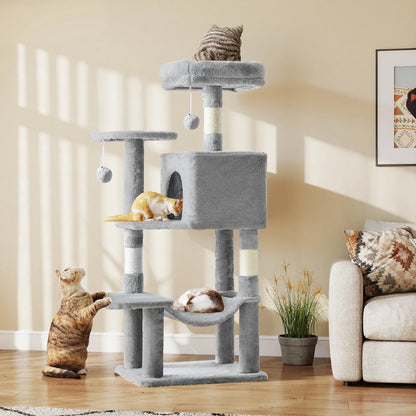 44In Cat Climbing Tower