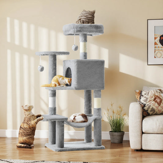 44In Cat Climbing Tower