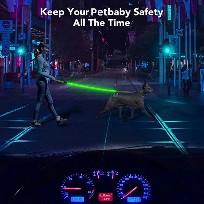 LED Dog Leash