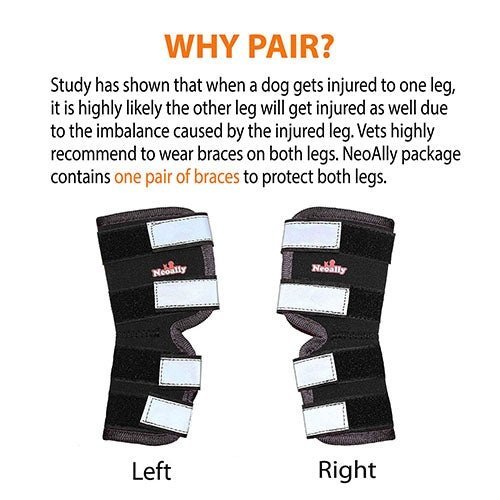 NeoAlly Dog Rear Leg Hock Brace with Safety Reflective Straps for Large Dogs